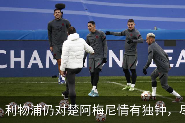 利物浦仍对楚阿梅尼情有独钟，尽管他已与皇马续签